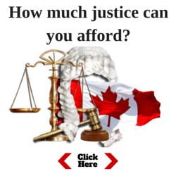 How much justice can you afford