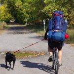 Biking with dog