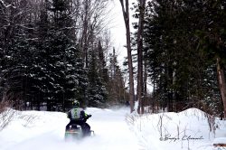 Photo of sledder on a trail