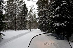 Photo of freshly groomed snowmobile trail.